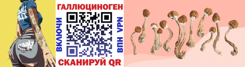 hydra маркетплейс  Улан-Удэ  Псилоцибиновые грибы MAGIC MUSHROOMS 